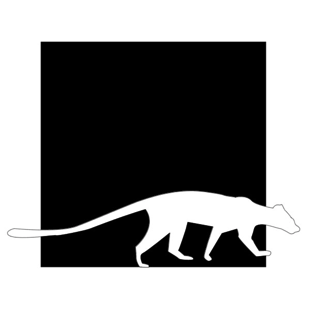 Megafaun Logo
